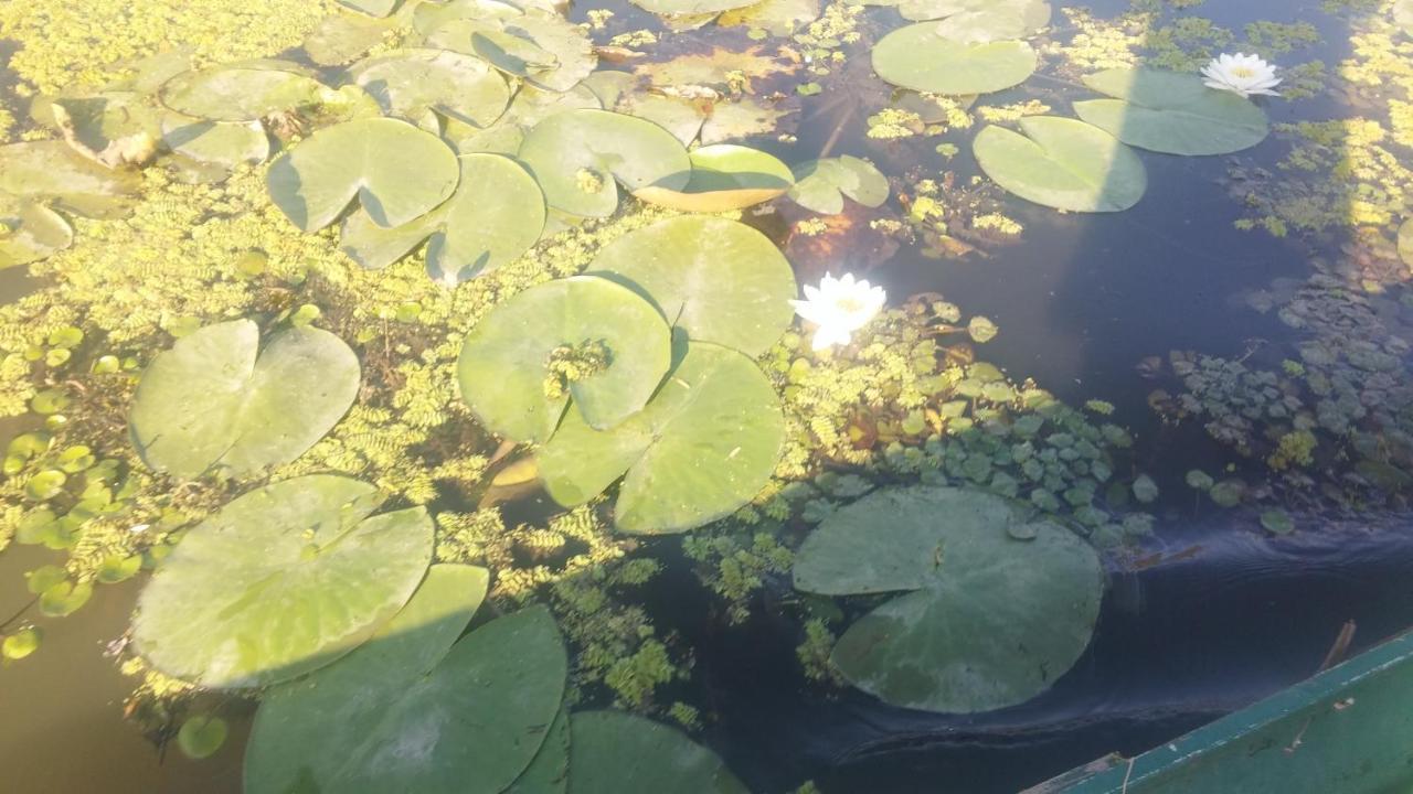 Rakoczi Vendeghaz Apartment Poroszlo Luaran gambar